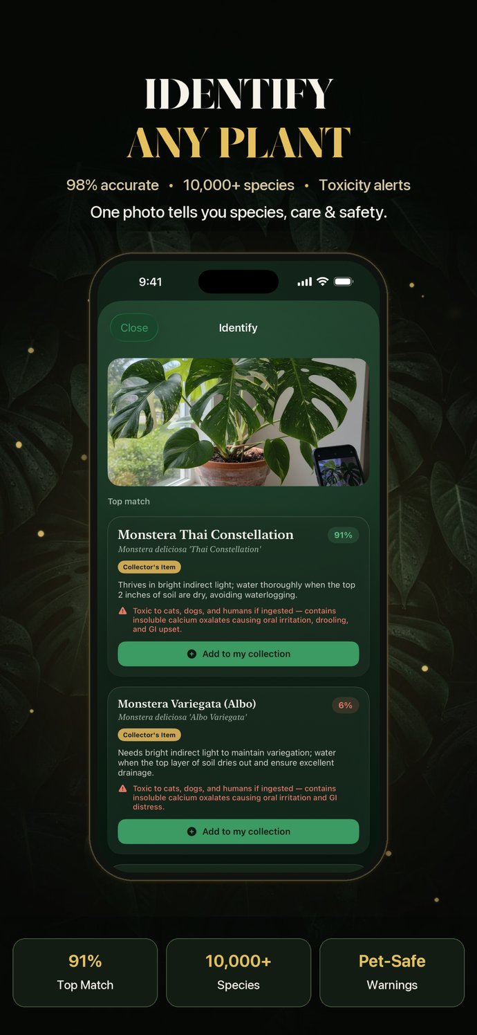 Identify any plant from a photo in Leafora — species, care plan, and toxicity alerts
