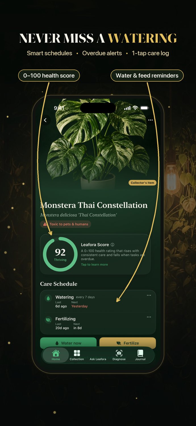 Watering and feeding reminders in Leafora — smart schedules and overdue alerts