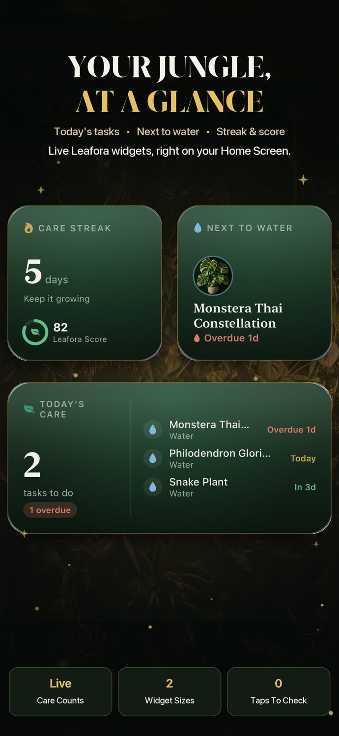 Leafora home-screen widgets — care streak, next to water, and today's tasks